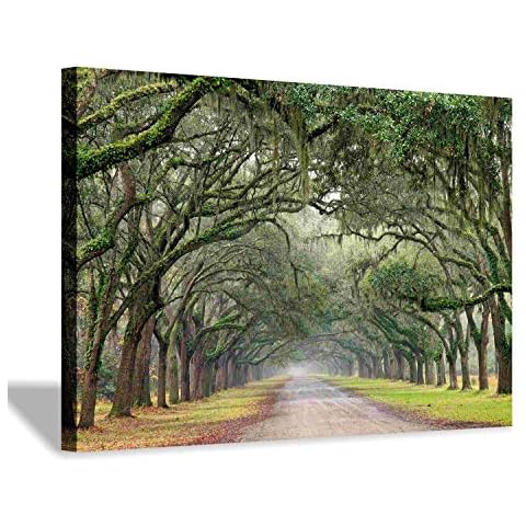 Green Forest Landscape Wall Art: Nature Canvas Oak Tree Lined Road of Savannah Artwork Picture Large Painting for Home Wall Decor (45'' x 30'' x 1 Panel) Cover