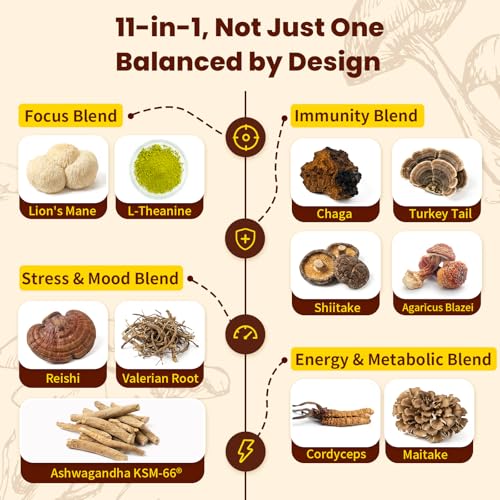 WepBio 11-in-1 Mushroom Coffee Packets