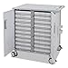 Ergotron 24-421-062 STYLEVIEW Transfer CART