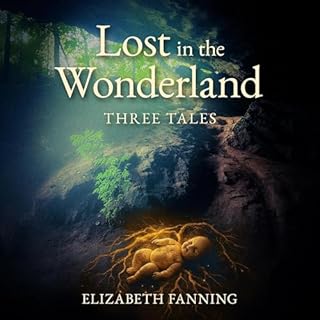 Lost in the Wonderland cover art