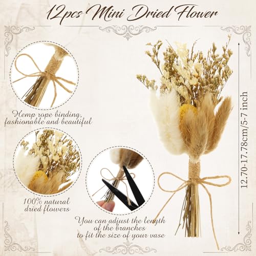 Set 24 pcs Ramos de Flores Secas y Jarrones de Vidrio miniatura 3