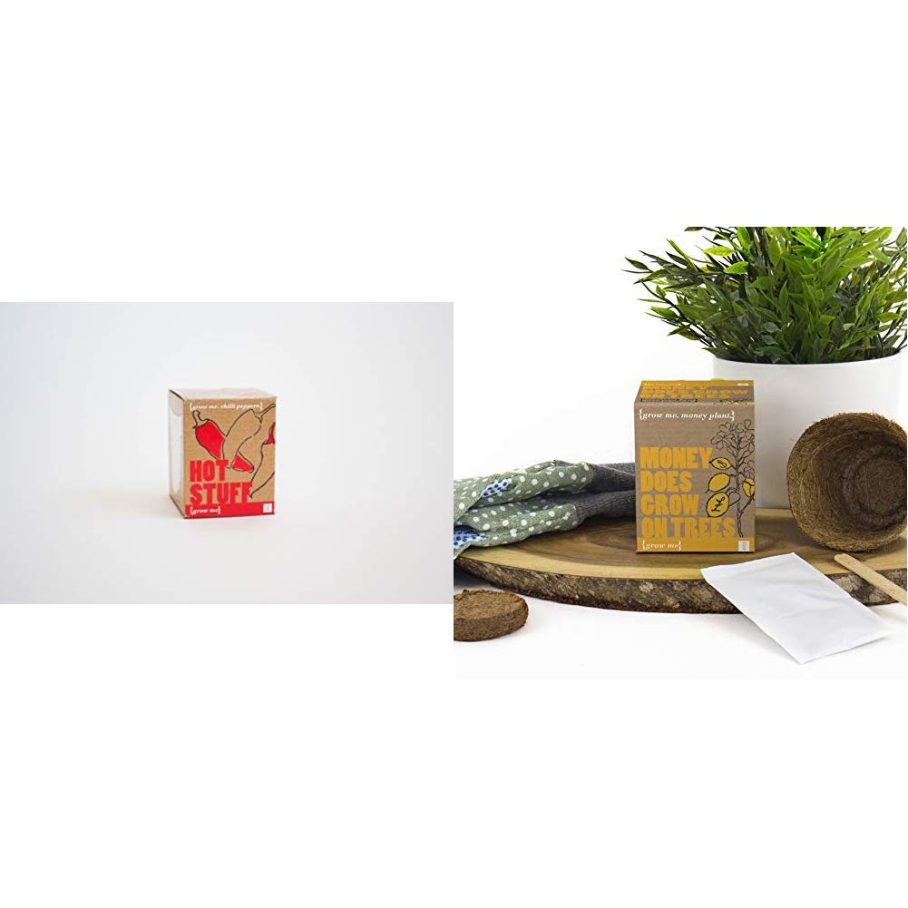 Grow Me Hot Stuff & Gift Republic Ltd Grow Me Money Does Grow On Trees