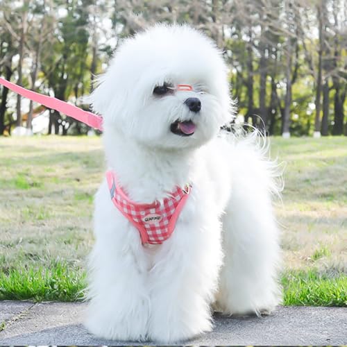 GIAPINST Harnais Chien, Step-in Harnais pour Chiens, Anti-Traction Réfléchissant Respirant Gilet Harnais pour Ultra Petit Chiens et Chat, Promenade en Plein Air, Formation (Couleur Rose, XXS) – vue 2
