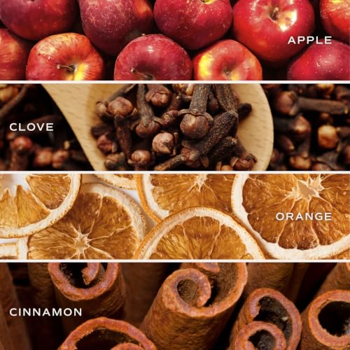 Image of Sweet Water Decor Farmhouse Reed Diffuser Set - Apple, Orange, Pumpkin, Fall Scented Air Freshener - Scent Diffusers for Home, Long Lasting Fragrance, Made in the USA