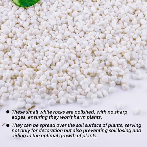 Image of 18lb 1 /4 inch Small White Rocks for Plants,Potting,Succulents Aquarium Fish Tank Garden Vases Decorative Pebbles Gravel Rocks Stones