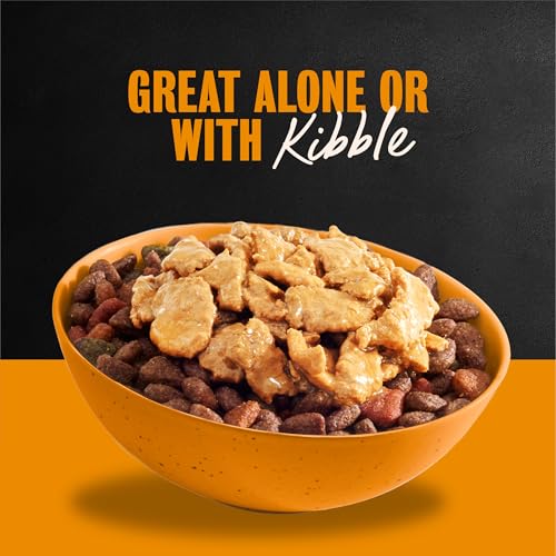 Image of Cesar Filets in Gravy Wet Dog Food, Rotisserie Chicken, 3.5 oz, 24 Count | Real chicken #1 ingredient, easy to digest, no fillers or artificial flavors, can be used as food topper, easy peel trays