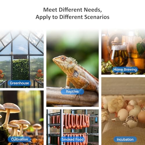 Inkbird IHC-200 Feuchtigkeitsregler 220V Play und Plug Hygrostat,Luftbefeuchter Luftentfeuchter für Pilz Gewächshaus Terrarium