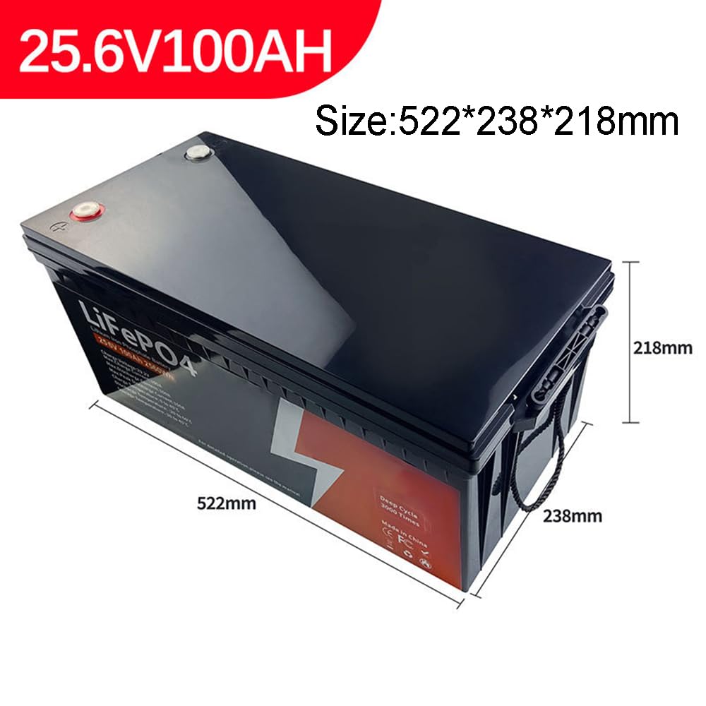 Batteria agli ioni di Litio LiFePO4 25,6 V 100 Ah 200 Ah Batteria al Litio Ferro fosfato per Camper, Nautica, accumulo di energia Domestica
