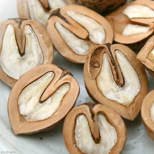 Y   TO ibc ̂  nX^[ Y F