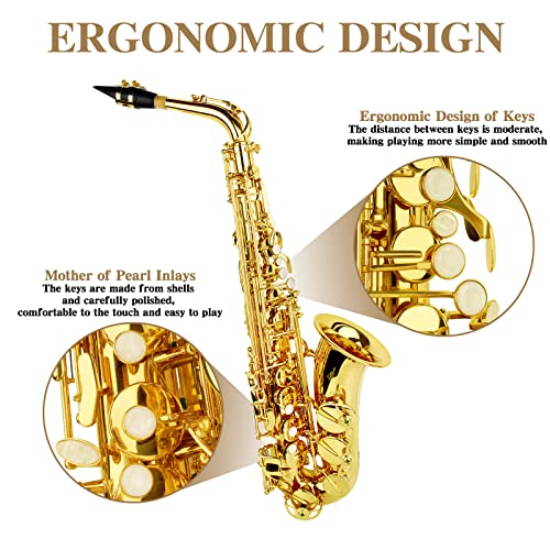 slade saxophone eb alto saxophone for beginner students saxaphone adult saxophone alto beginner saxophone alto saxaphone saxofon alto saxophone gold