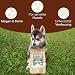 Wolfsbacher Ulmenrinde Pulver für Hunde und Katzen [60g] - Slippery Elm Bark - Amerikanische Ulmenrinde, Unterstützt Magen und Darm auf natürliche Weise