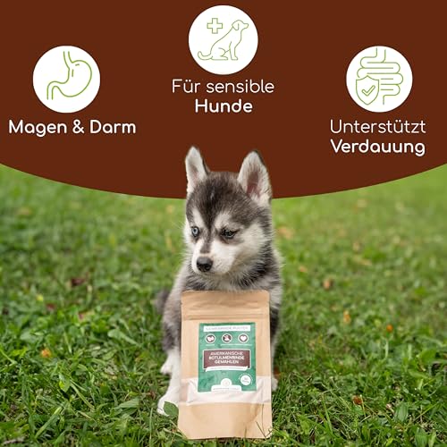 Wolfsbacher Ulmenrinde Pulver für Hunde und Katzen [60g] - Slippery Elm Bark - Amerikanische Ulmenrinde, Unterstützt Magen und Darm auf natürliche Weise