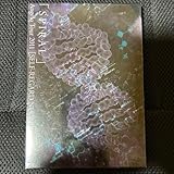 Angelo DVD SPIRAL FC 盤 ヴィジュアル系 PIERROT