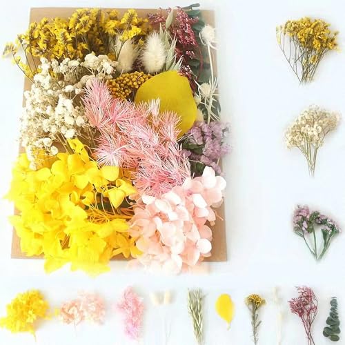 ラローナ［ LALONA ］ドライフラワーセット ( 12種から ) キャンドル/レジン/ハンドメイド/サシェ/アロマワックス/押し花/手作り (08) - LALONA - 商品画像