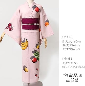 専用 葡萄・すすきの葉に秋虫柄単衣着物・浴衣 セオアルファ 身丈169