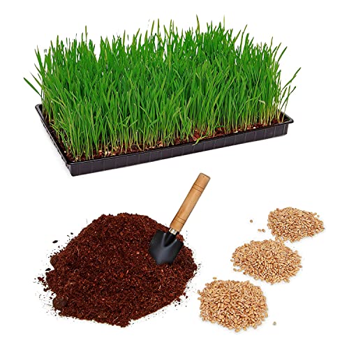 Mix Semi Erba Gatta R&R SHOP - 150gr Per Gatti Felici, Crescita Rapida E Naturale - Foto 6