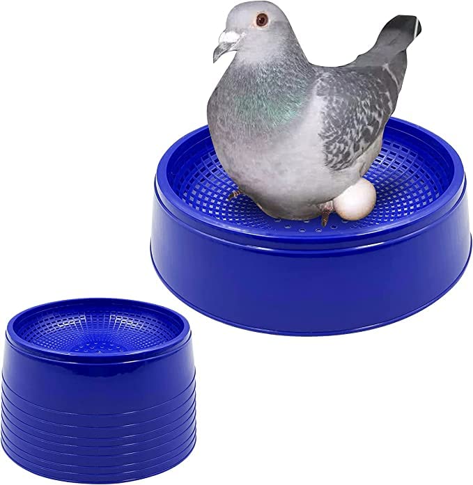 G P S™ Pigeon Egg Bowl Set of 5 Piece, Size: (24X6.5 cm) (LXH), Pigeon Breeding Nest Bowl for Hatching Eggs, Suitable for Pigeon - Blue Color (B0BTZ9NX4S) Amazon Price History, Amazon Price Tracker