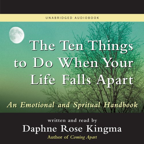 Cover art for The Ten Things to Do When Your Life Falls Apart