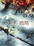 空軍大戦略