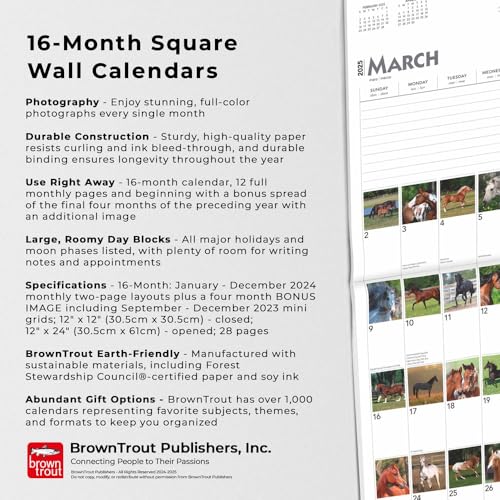 Browntrout 7716-5 365 Days Of Horses 2025 12 X 24 Inch Monthly Square Wall Calendar Plastic-Free thumb #5