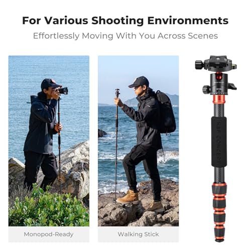 K&F Concept 60 inch Carbon Fiber Camera Tripod,Super Lightweight Compact Travel Tripod with 360 Degree Ball Head,Quick Release Plate,Detachable Monopod 17 lb Load Capacity for SLR DSLR C225C0 (BA225)