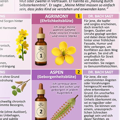 [5er Set] Der sanfte Naturheil-Kompass für Körper & Seele – mit allen 38 Bachblüten & 24 Schüßler-Salze: Behutsam körperlichen & seelischen ... & ... & Selbstanwender (DINA 4, laminiert)