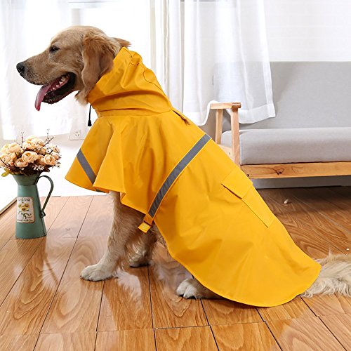 Best 7 Raincoats For French Bulldogs Dog Fluffy