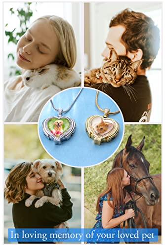Fanery Sue Rainbow Bridge Pet Ashes Necklace Personalized Picture Memorial Quote For Your Lost Loved Dog Ashes Necklace -In Loving Memory Sympathy Cat Dog Urn Necklace Gifts (Sliver Angel Wing) #TOP5