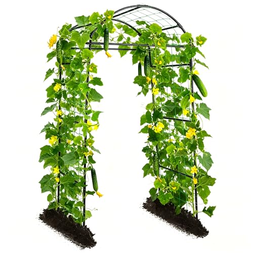 Yotoworth Gurken Rankhilfe Gartenbogen für Kletterpflanzen Rankhilfen Metall Rostfrei Rankhilfe für Pflanzenspalier für Tomaten Gemüse Rankgitter Blumen Kletterpflanzen Schwarz