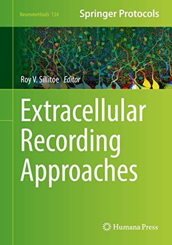 Extracellular Recording Approaches view 2