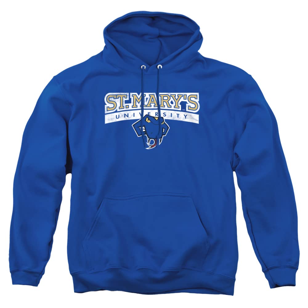 LOGOVISION Official Collegiate Distressed Primary Logo Adult Pullover Hoodie Collection — view 459