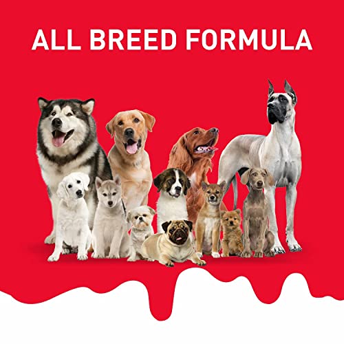 Image of Healthy Dog Biscuits,Wheat Free Treats,Premium pet snacks1kg(Chiken Flavour) 'Brown (Chicken)
