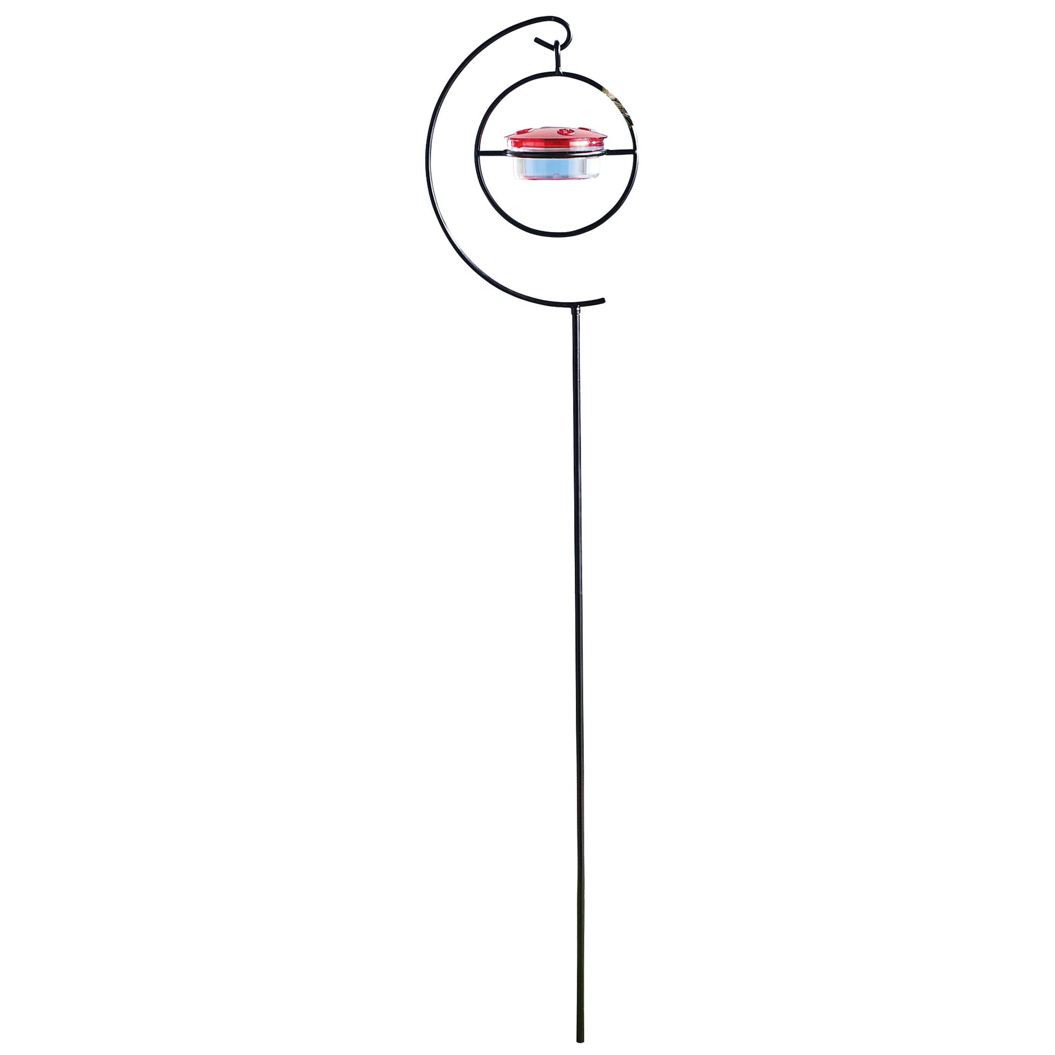 10 Stake Hummingbird Feeders A Comprehensive Guide Hummingbirds Plus