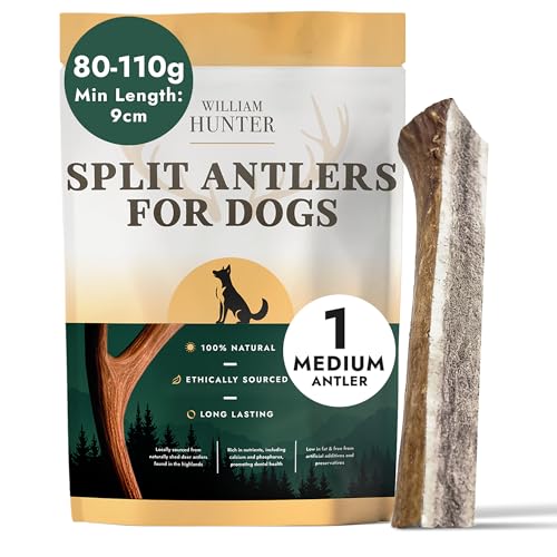 William Hunter Deer Antlers for Dogs - Naturally Shed Antler Chews for Dogs Long Lasting & Nutritious Antler Dog Chews that Promote Dental Health with No Foul Smell (1 Medium Split)