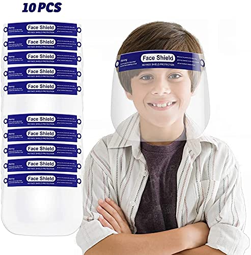 MSA 10118697 V-Gard Accessory System kit (Without V-Gard Cap), Includes: Universal V-Gard Frame for Slotted Caps, Clear V-Gard Polycarbonate (PC) Visor, Superior Impact Protection