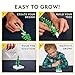 National Geographic Craft Kits for Kids - Crystal Growing Kit - Grow a Crystal Garden in Just 6 Hours, Educational Craft Includes Art Project, Geode, STEM Arts and Crafts for Girls (Amazon Exclusive)