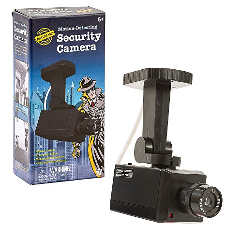 Funtime Gifts EG7965 Dummy Detecting Security Camera with Motion Sensor/Light and Voice Activation, Black