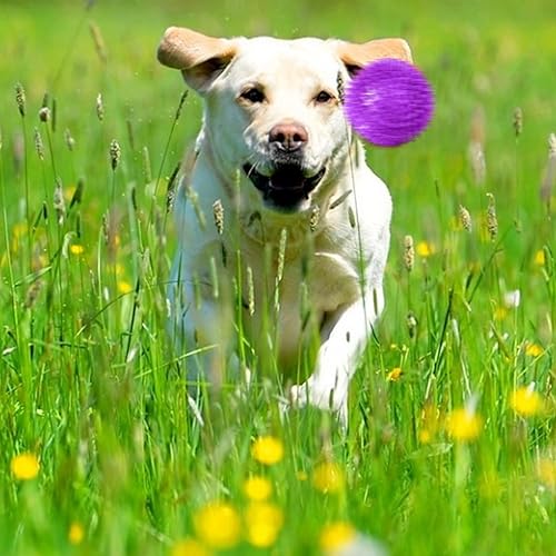 AYNKH Set of 4 Squeaky Dog Ball Toys, Indestructible Chew Spiky Balls for Puppy Small Medium Dogs Clean Teeth and Training - Image 4