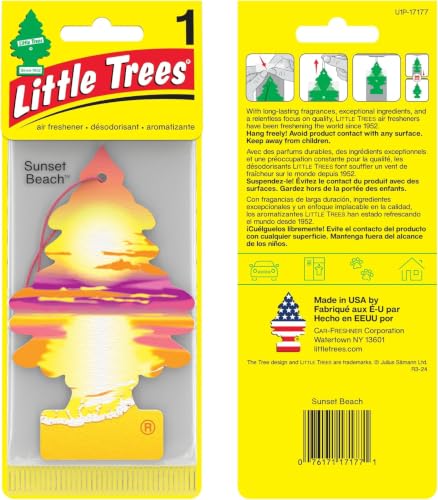 Image of LITTLE TREES Car Freshner U1P-17177 Air Freshener AIR FRESHENERS (Pack of 6)