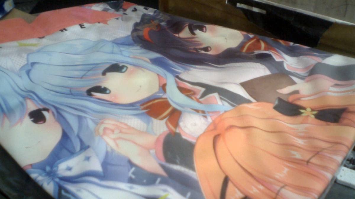 正規品】ハミダシクリエイティブ 錦あすみ 抱き枕カバー まどそふと 
