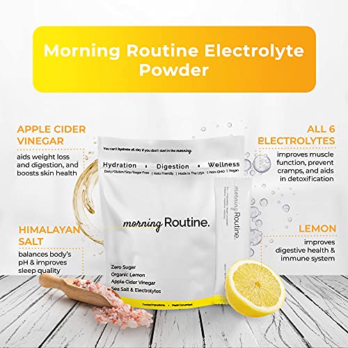 Routine Morning Daily Hydration | Electrolyte Powder Packets With Apple Cider Vinegar, Lemon And Sea Salt | Hydrate Powder, Electrolyte Drink Mix | Keto & Paleo Electrolytes Hydration Powder - 30 Ct #TOP4