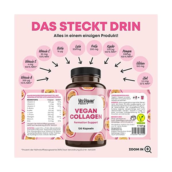 Vegan Collagen (120 Kapseln) mit Aminosäuren, Vitamin A C E, Biotin, Silicium, Zink und Mangan I Pflanzliche Alternative zu Collagen Pulver I Kollagen vegan – Bild 4