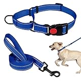 Martingale Dog Collar and Leash Set Martingale Collars for Dogs Reflective Martingale Collar for Small Medium Large Dogs(Blue&S)
