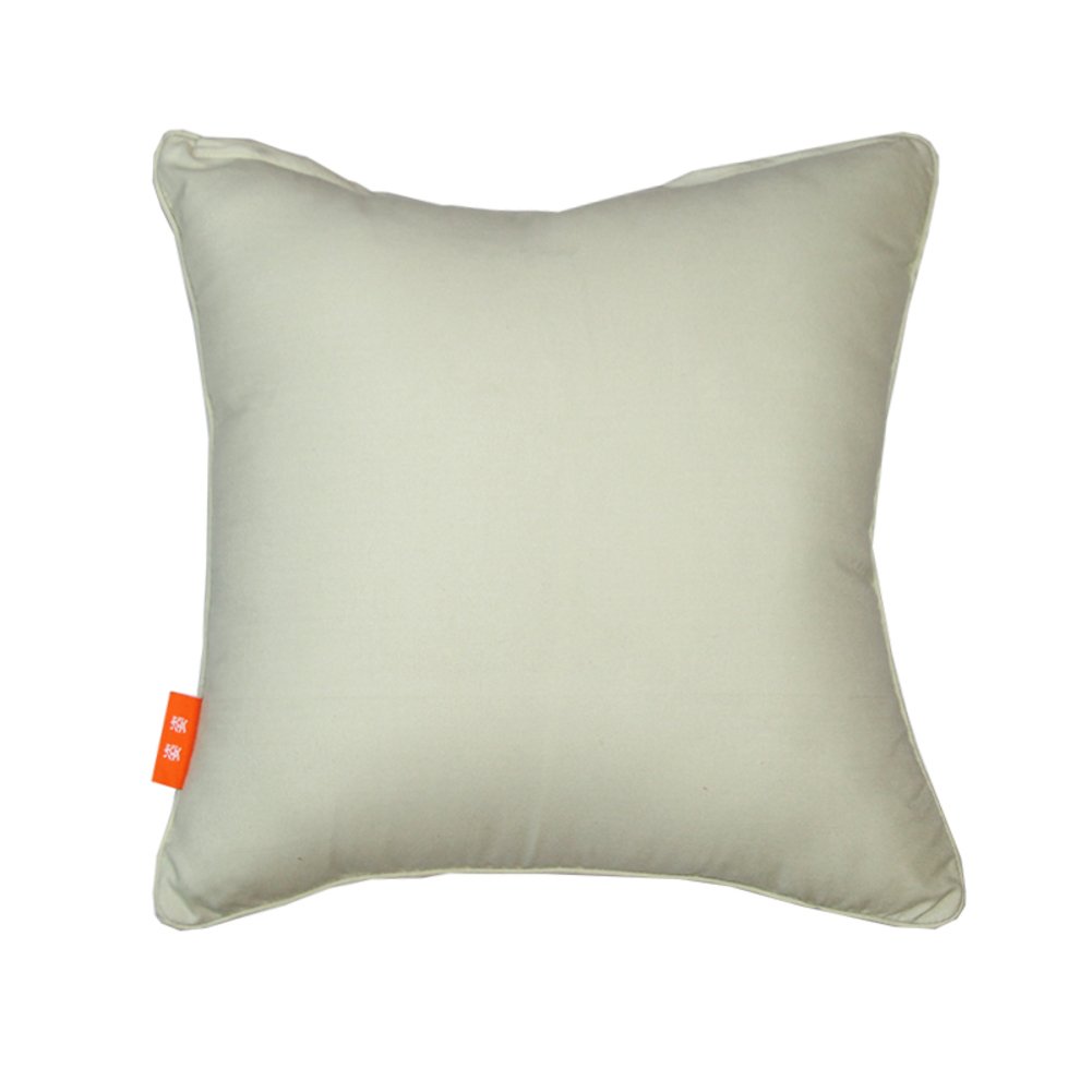 Coussin tissu coton oreiller moderne 50x50cm couleur pure version B