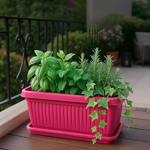 Image of Tray for Bello Rectangle 30cm (Purple) Plastic Planter | Drainage Water Collector Tray for Home & Garden