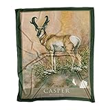 Casper Wyoming Desert Ghost...