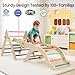 BIERUM Pikler Triangle Set - 8 in 1 Toddler Climbing Toys Indoor Wooden, Montessori Pickler Climbing Set with Ramp, Foldable Baby Climbing Gym, Rainbow