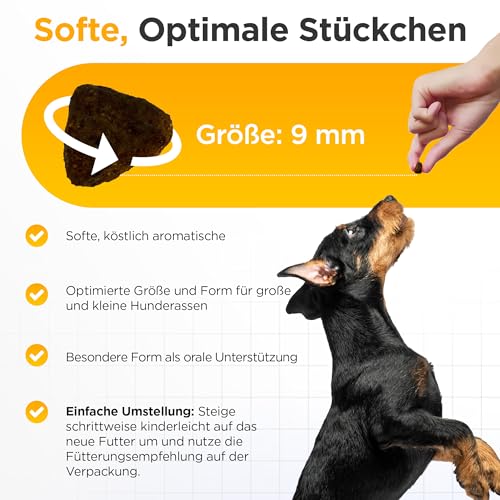 Balloony Softes Trockenfutter für Hunde | Halbfeuchtes Superfood mit Bio-Huhn | Präbiotische Rezeptur mit Inulin aus Chicorée, MOS & Beta-Glucanen | Für ausgewachsene Hunde (500 g)
