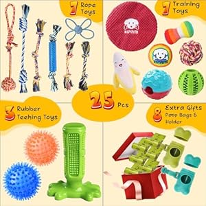 Kipritii 25 pack various puppy dog toys for teething entertainment  interaction puppy chew toys pack with rope toys treat balls and dog squeaky toys for puppy  small dogs   cucciolini doodles