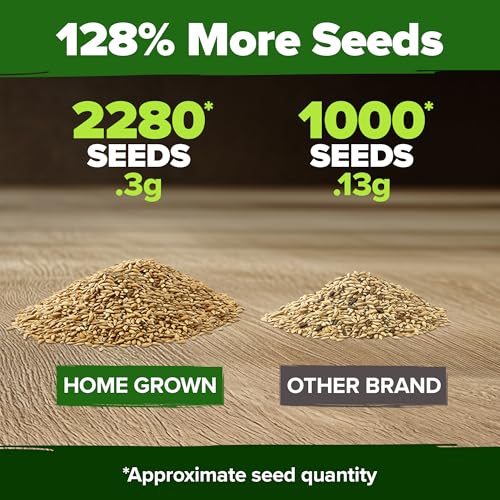 Image of HOME GROWN German Chamomile Seed Pack 2,280 Non GMO Heirloom Seeds for Planting for Sustainable Gardens and Soothing Medicinal Herbal Teas (Matricaria chamomilla)